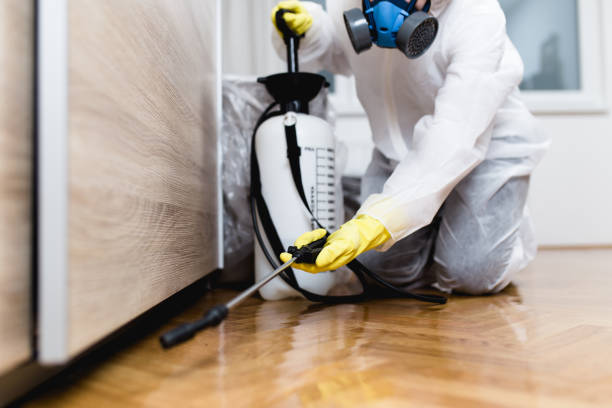 Best Best Pest Control Companies  in Johnson City, TN