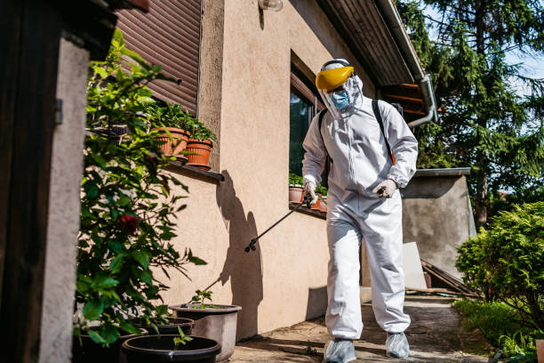 Best Local Pest Control Services  in Johnson City, TN