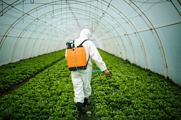 Best Commercial Pest Control Services  in Johnson City, TN