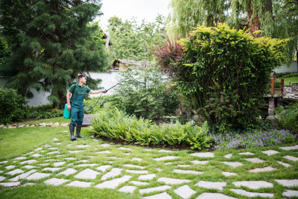 Pest Control Cost in Johnson City, TN