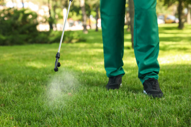 Best Mosquito Control Services  in Johnson City, TN