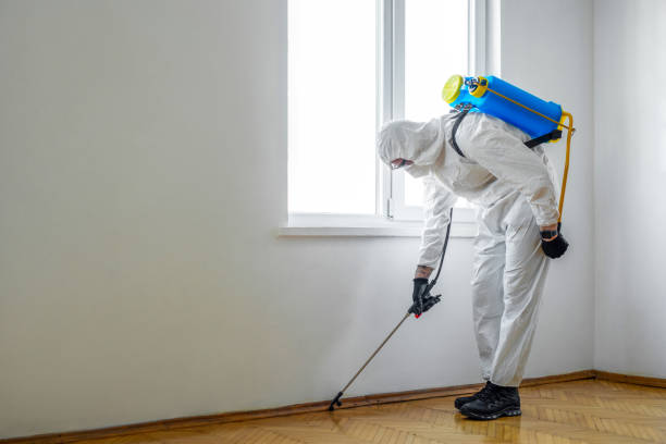 Best Mosquito Control Services  in Johnson City, TN