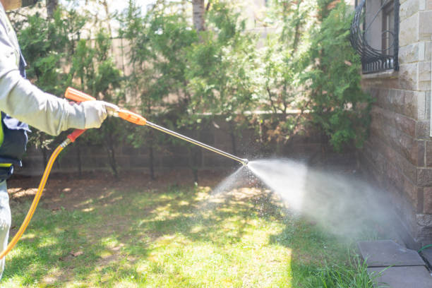 Flea Control Services in Johnson City, TN