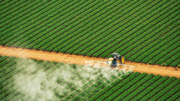 Best Pest Control Cost  in Johnson City, TN
