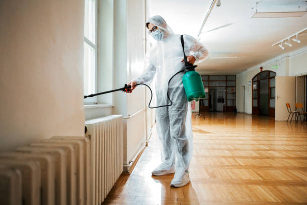 Best Best Pest Control Companies  in Johnson City, TN