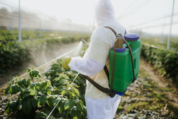 Best Affordable Pest Control Services  in Johnson City, TN
